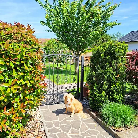 Guest house Gostisce Lesjak 3*