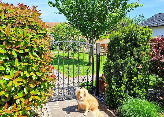 Gæstehus Gostisce Lesjak 3*